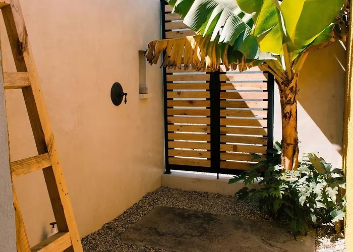 Casa Playita Getaway Gem Earth House Hébergement de vacances San José del Cabo